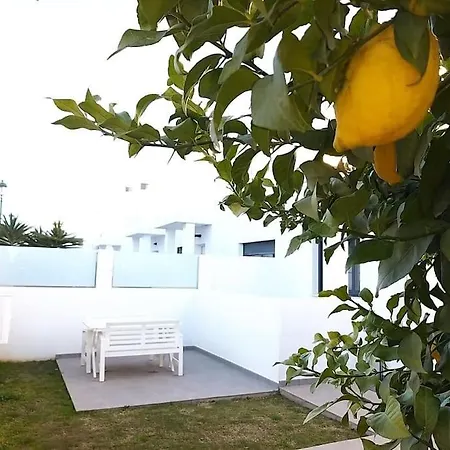 Exotica *